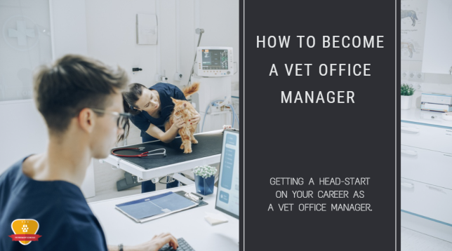 How to Become a Vet Office Manager