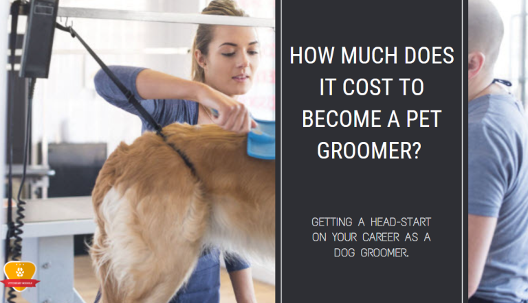 how-much-does-it-cost-to-become-a-pet-groomer