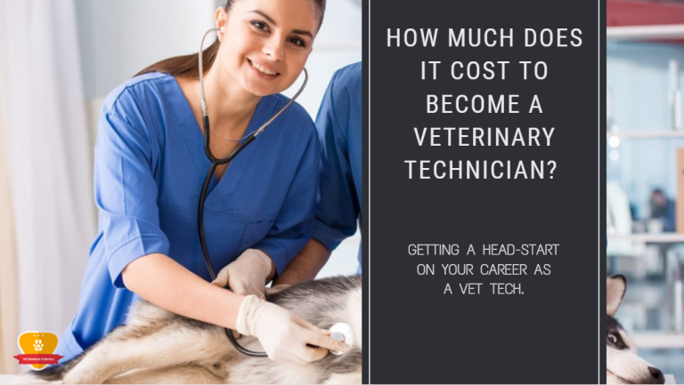 How Much Does It Cost To Become Vet Tech