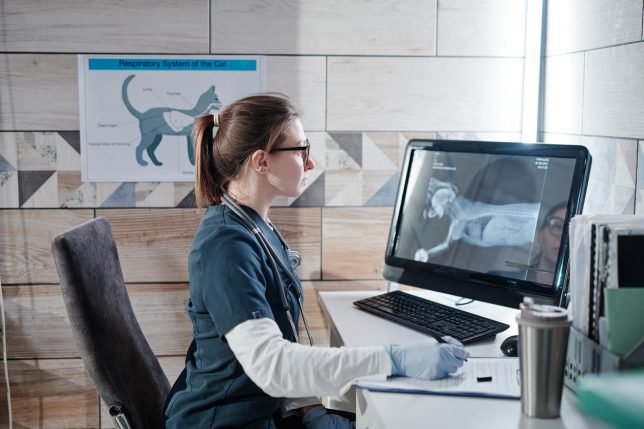 Best Online Veterinary Office Manager Programs