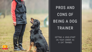 19 Pros and Cons of Being a Dog Trainer